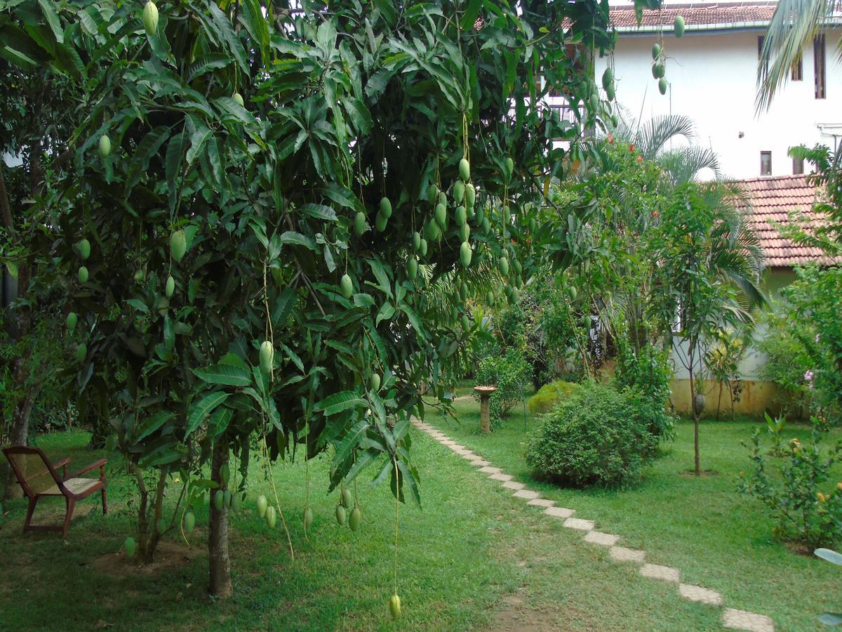 Hôtel Secret Bay à Matara Extérieur photo
