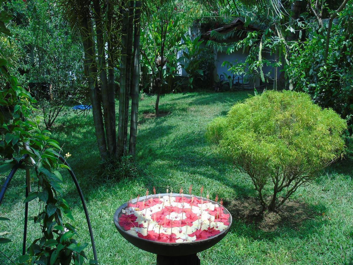 Hôtel Secret Bay à Matara Extérieur photo